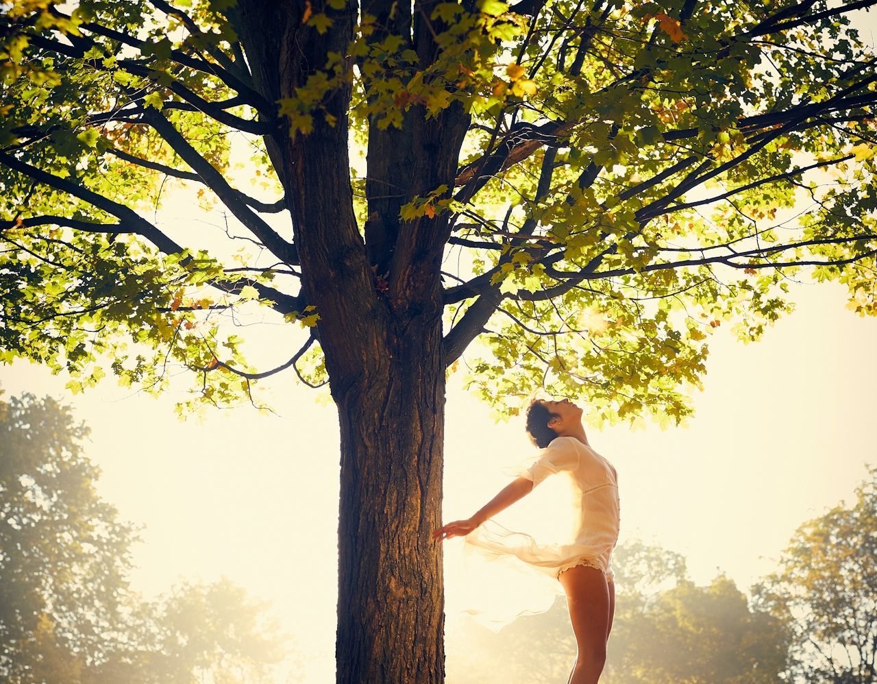 Eine tanzende Person steht vor einem Baum in goldenem Licht.